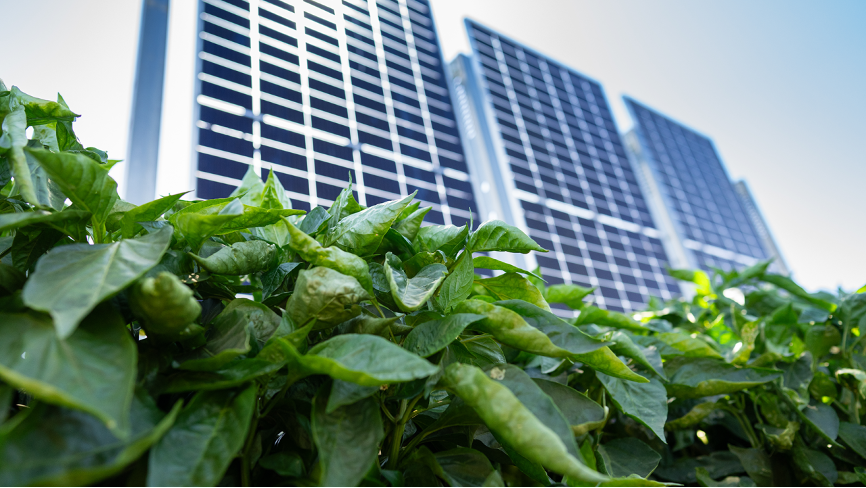 Agrivoltaics in Action